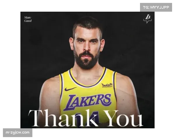 骑士泰森崛起改变亨特定位 2490万合同交易补强内线深度